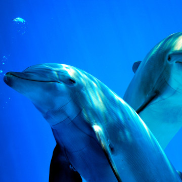 media.AdobeStock_16277956