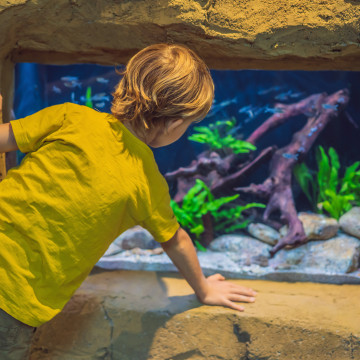 media.AdobeStock_274187570